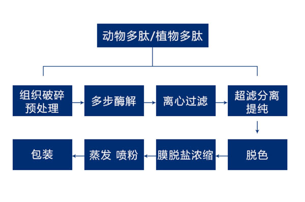 葵花盤多肽生產(chǎn)線